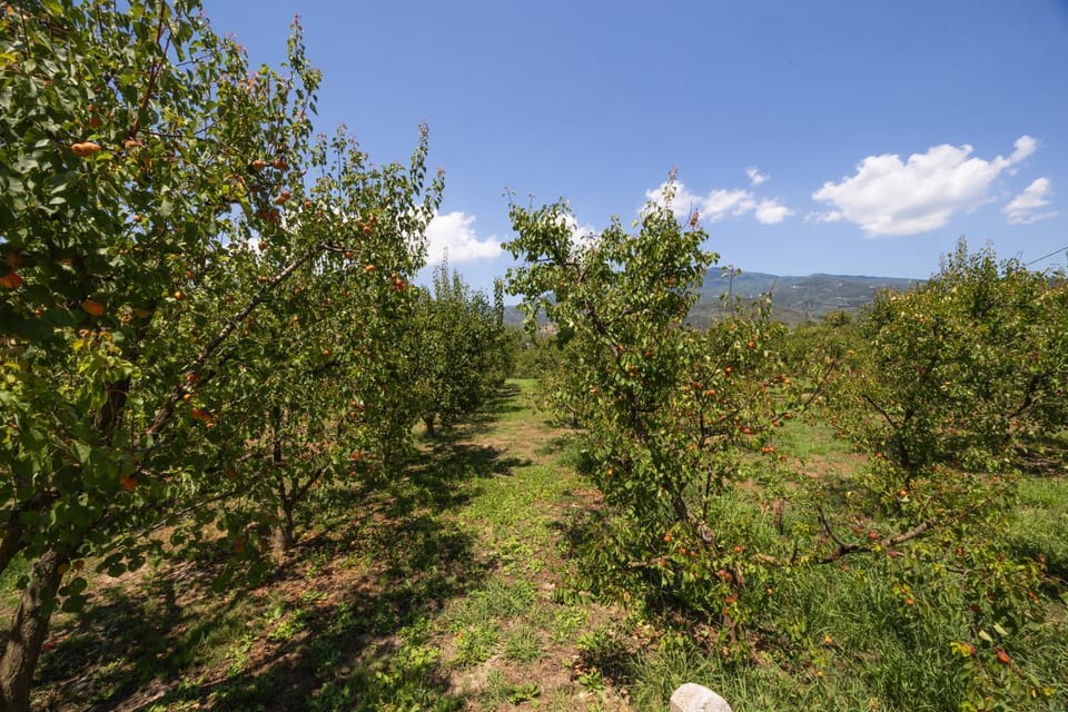 Natural landscape, Mountain view