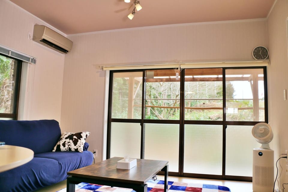 Living room, Seating area, air conditioner