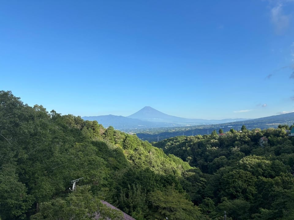 View (from property/room)