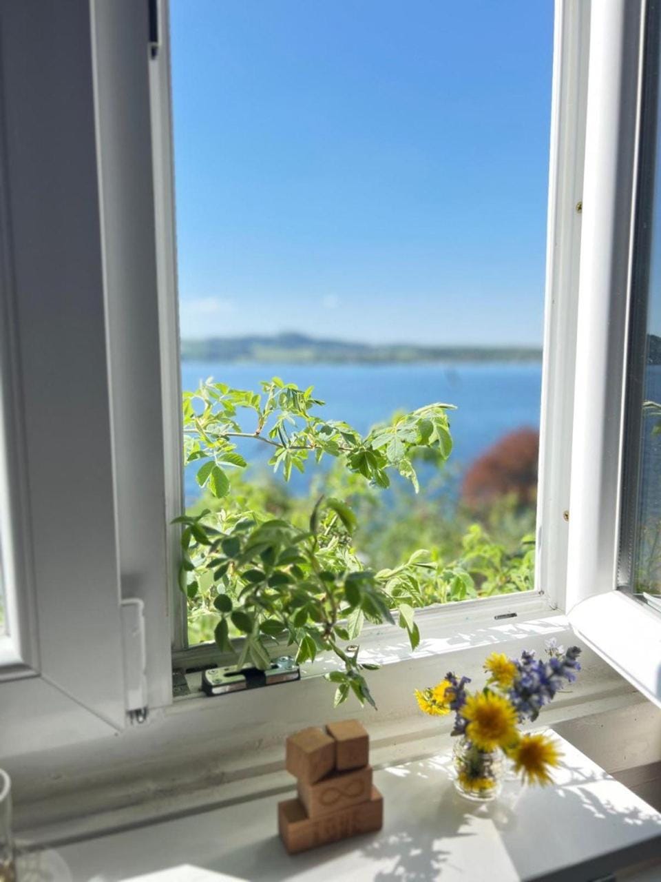 View (from property/room), Lake view