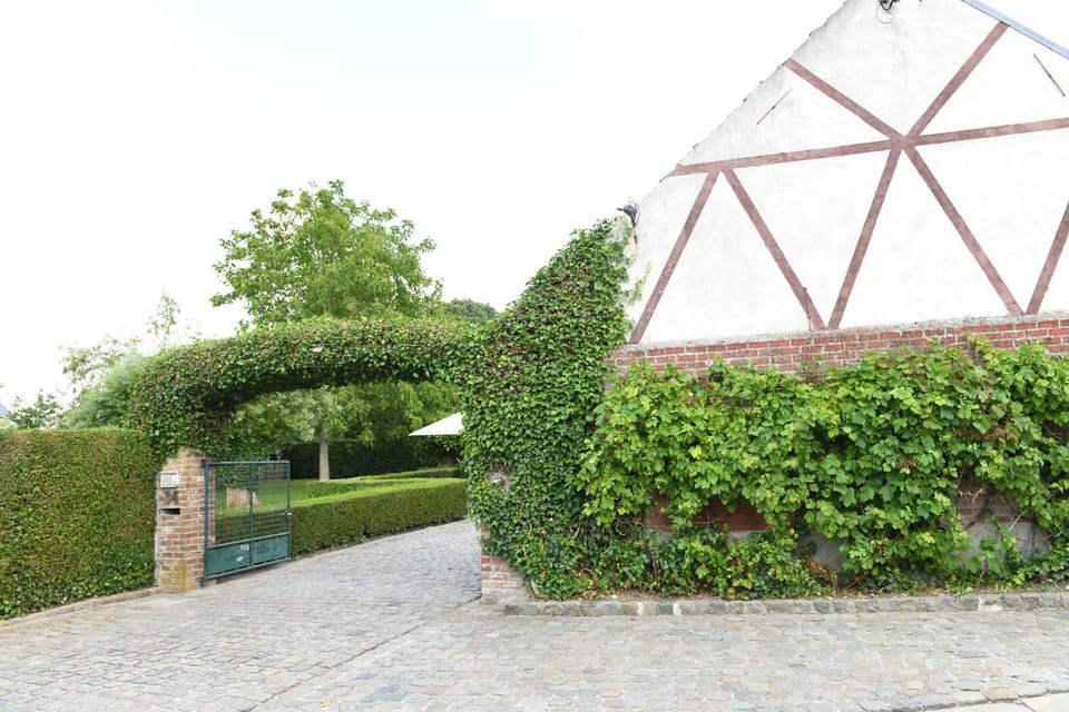 Property building, Garden