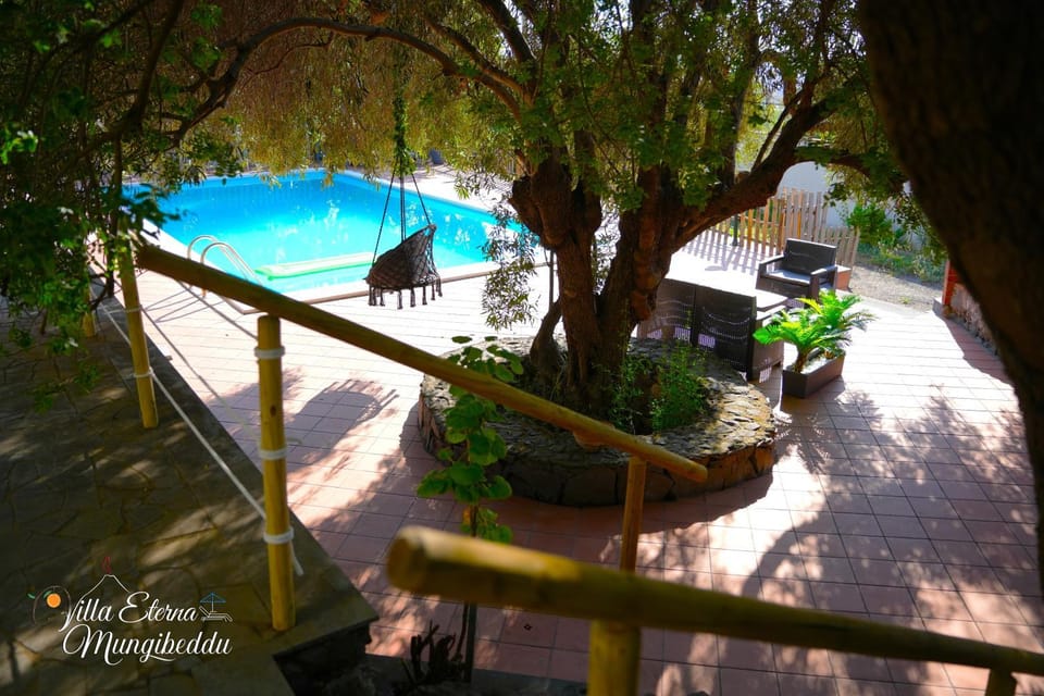 Day, Garden, Garden view, Pool view, Swimming pool