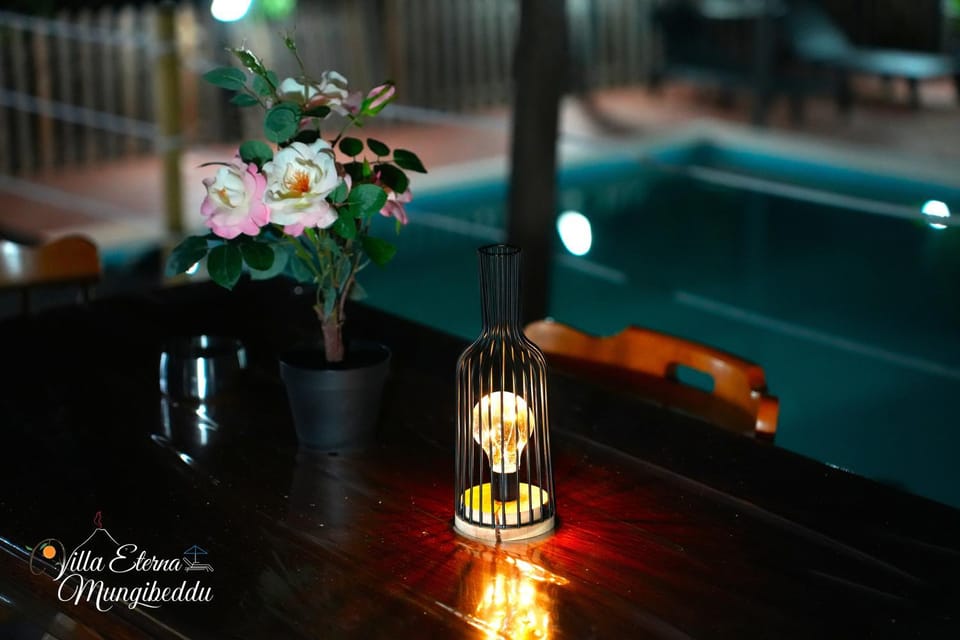 Night, Pool view, Swimming pool