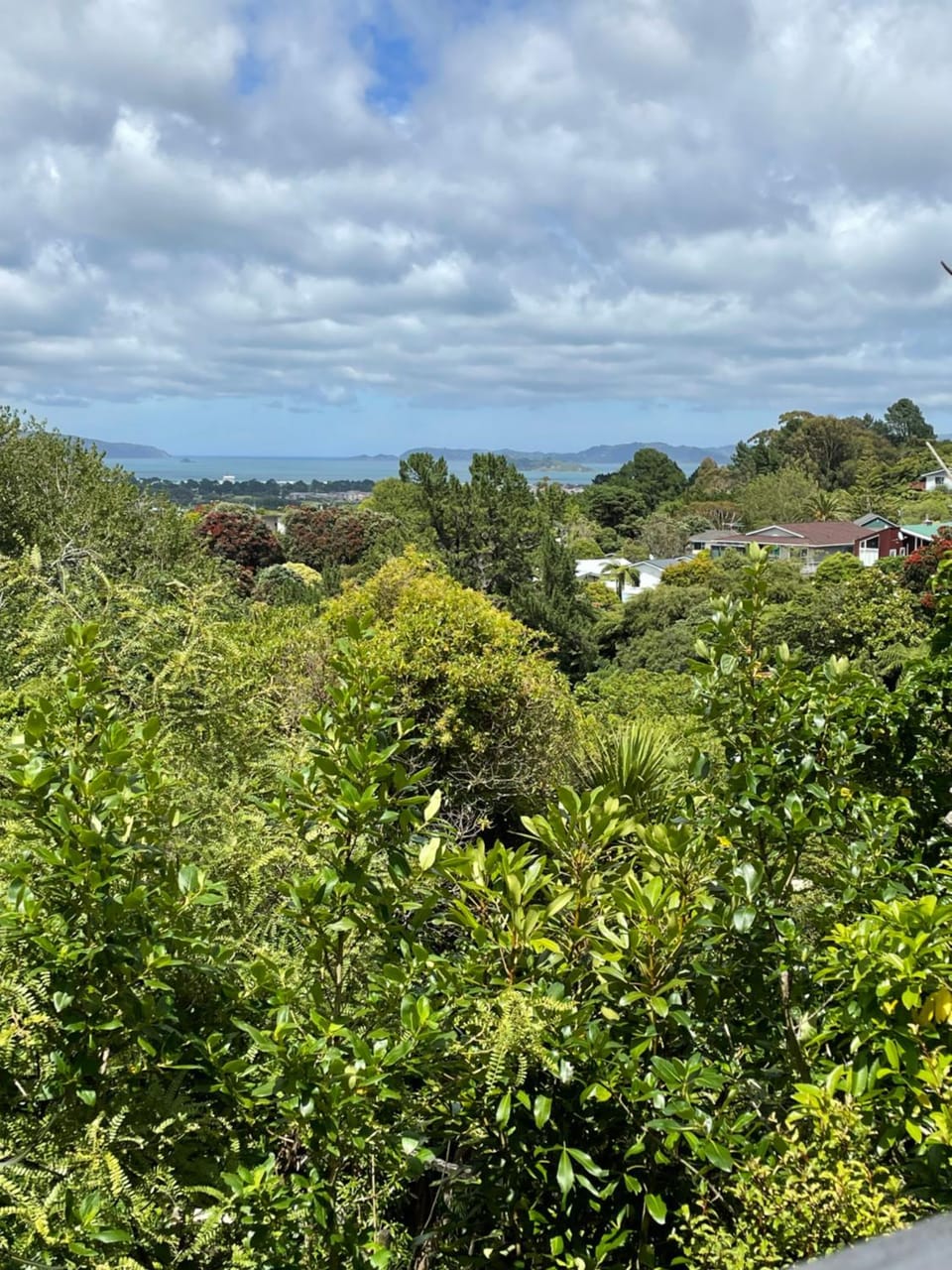 Sea view