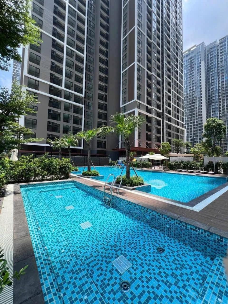 Garden, Swimming pool