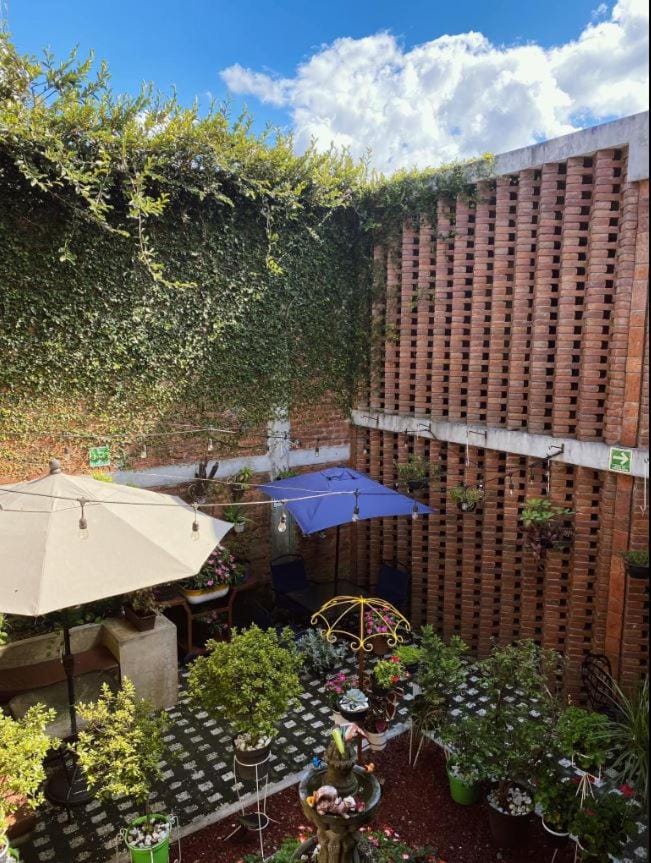 The best view of the river apartments garden Apartment in Orizaba