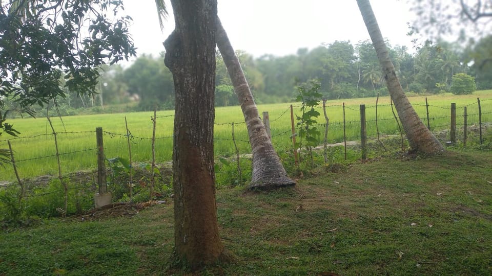 Dream Nature Villa Apartment in Southern Province