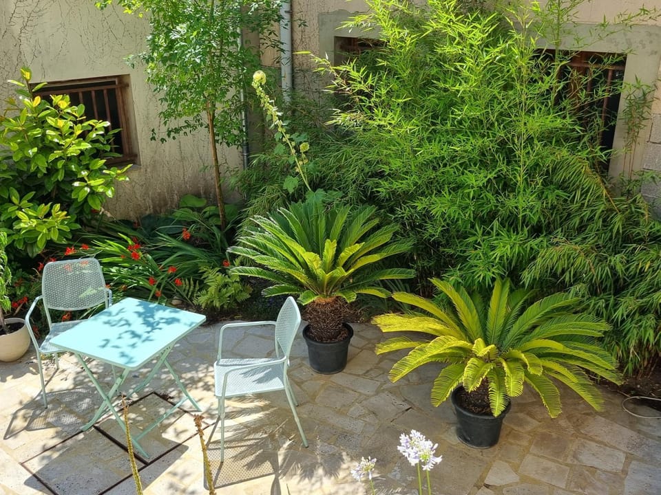 Patio, Spring, Day, Garden, Garden view