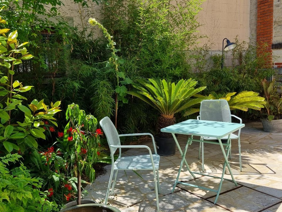 Patio, Day, Garden