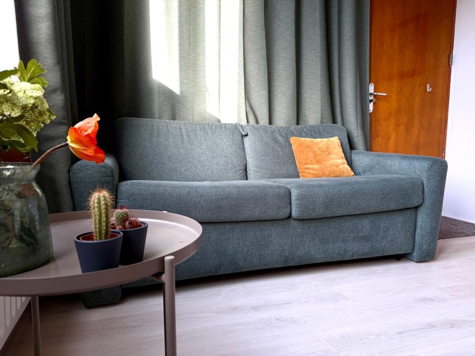 Cosy Studio, with outdoor swimming Apartment in Amsterdam