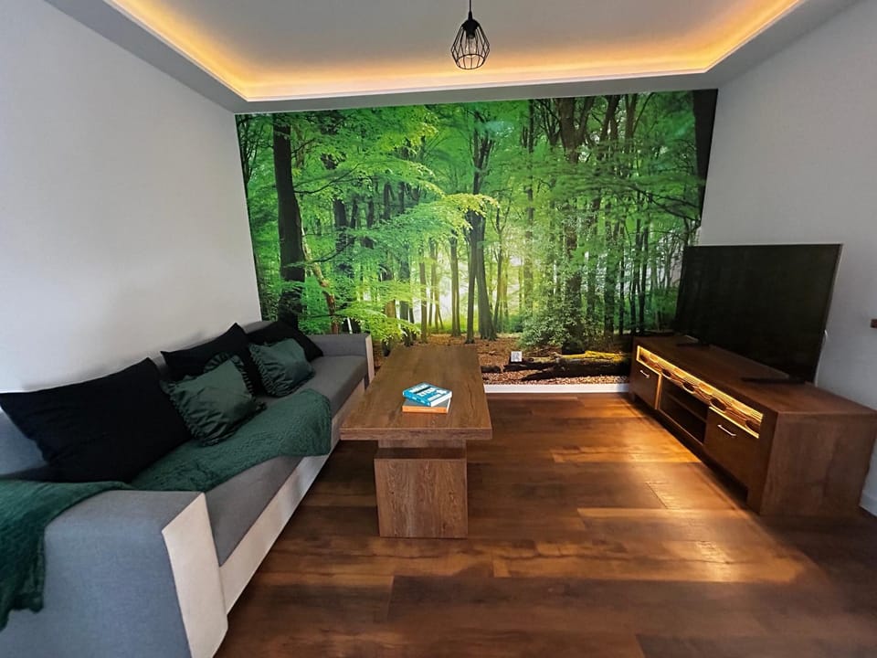 Natural landscape, TV and multimedia, Living room, Seating area