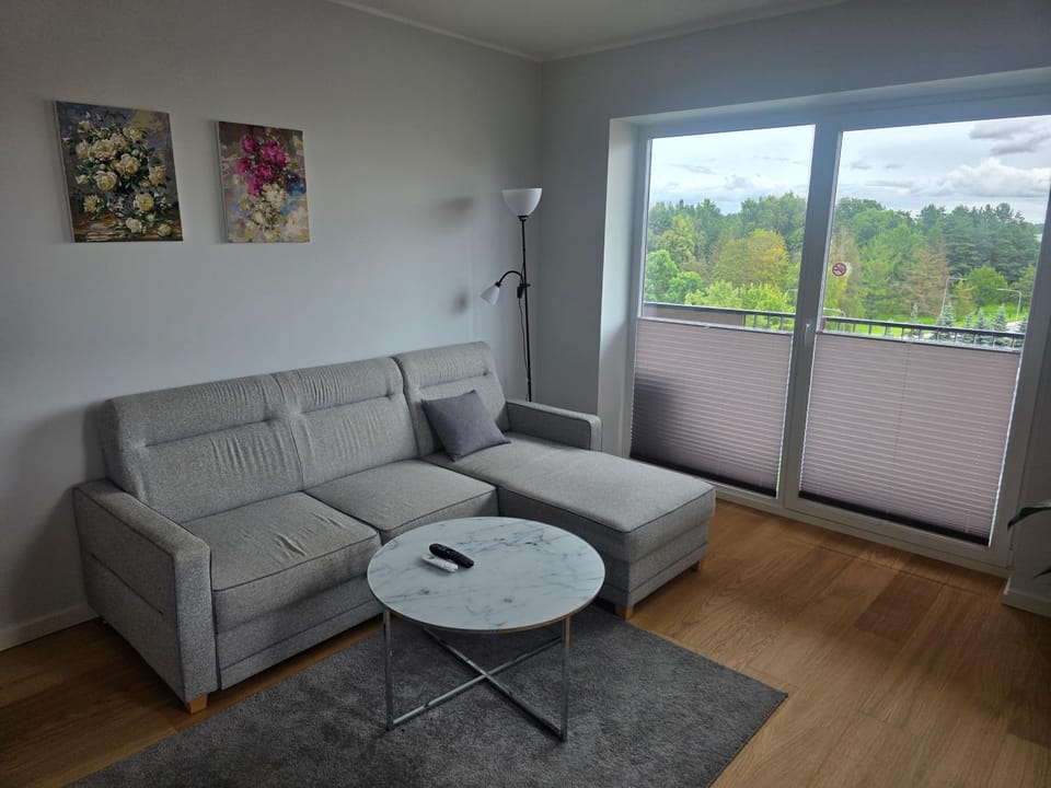 Spacious and cozy apartment in Tartu Apartment in Estonia