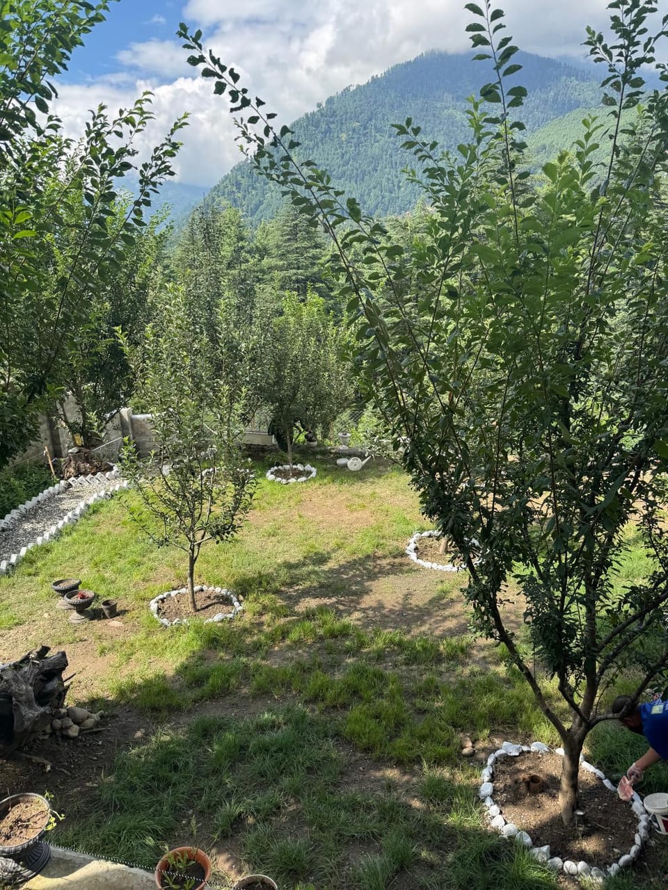 Natural landscape, Garden, Garden view, Mountain view