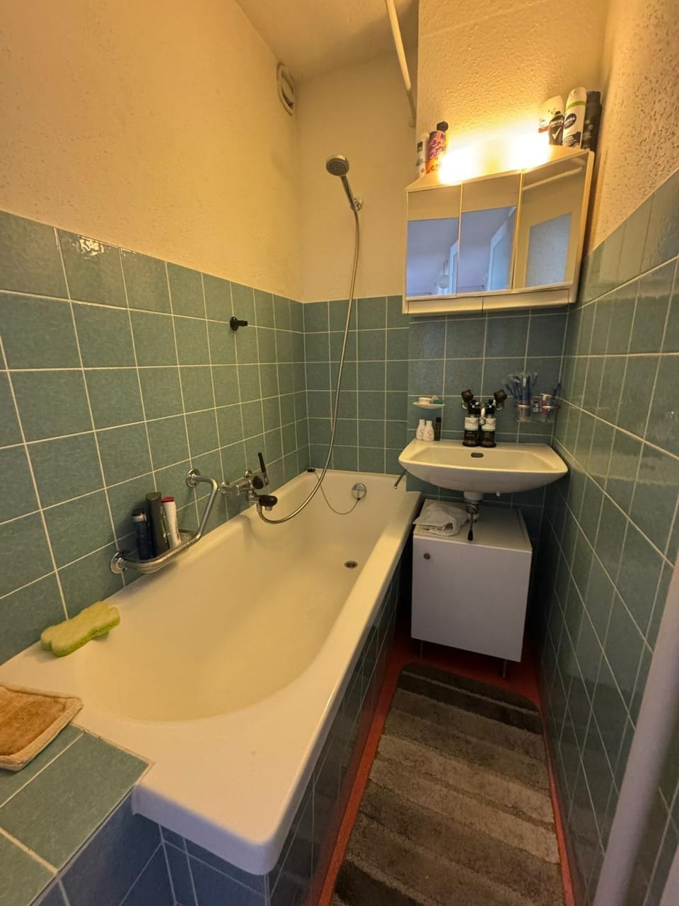 Rustic lakeside gem with rooftop looking to Zurich see Vacation rental in Zurich City