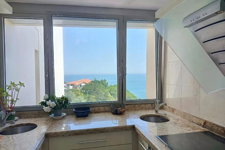 Apartment 3P with pool & sea view Apartment in Biarritz