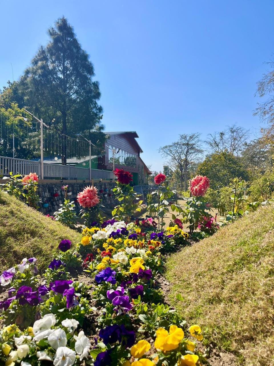 Natural landscape, Garden, Garden view