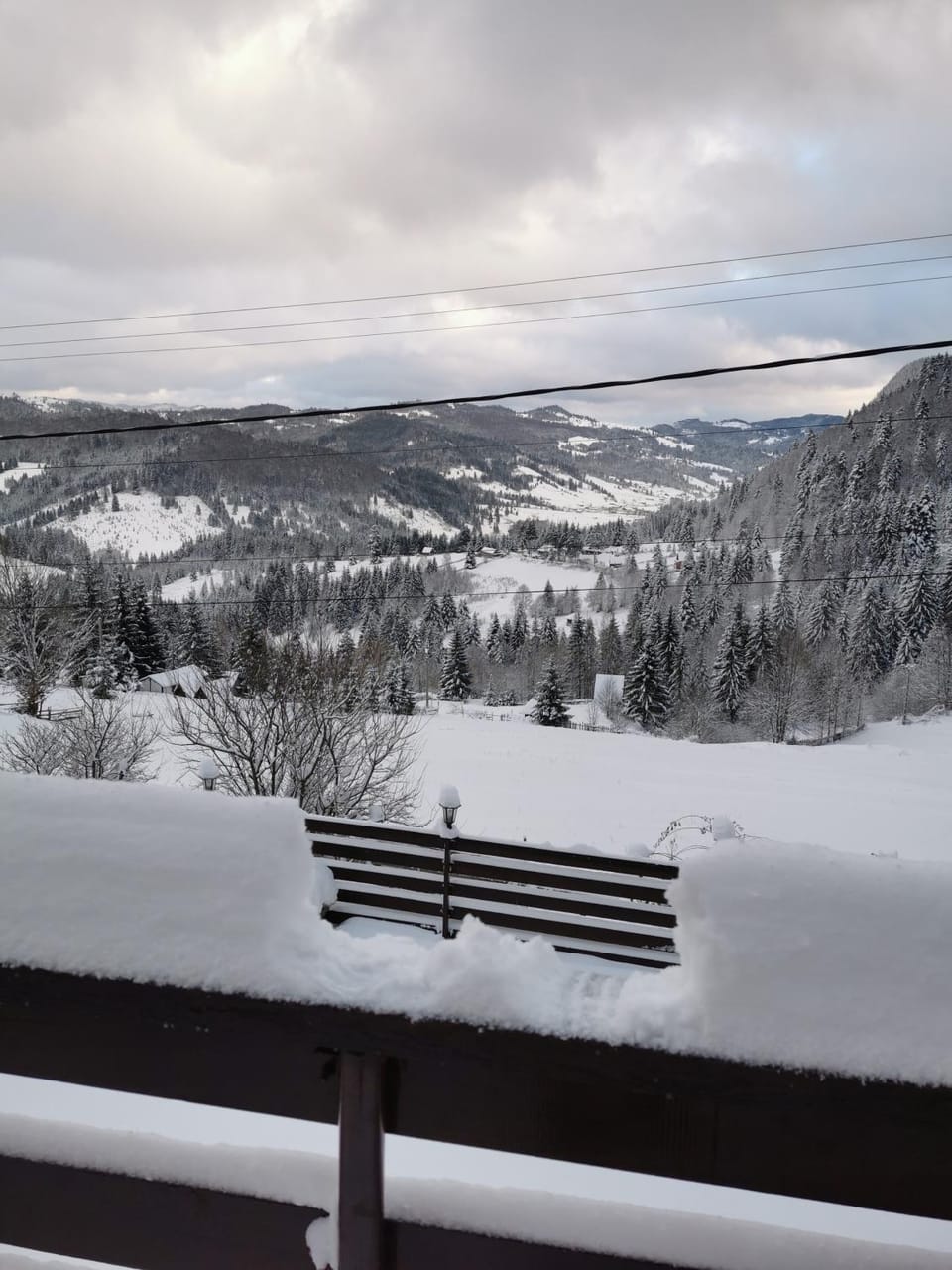 Casa Codrilor Bed and Breakfast in Romania