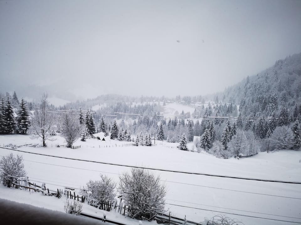 Winter, Mountain view