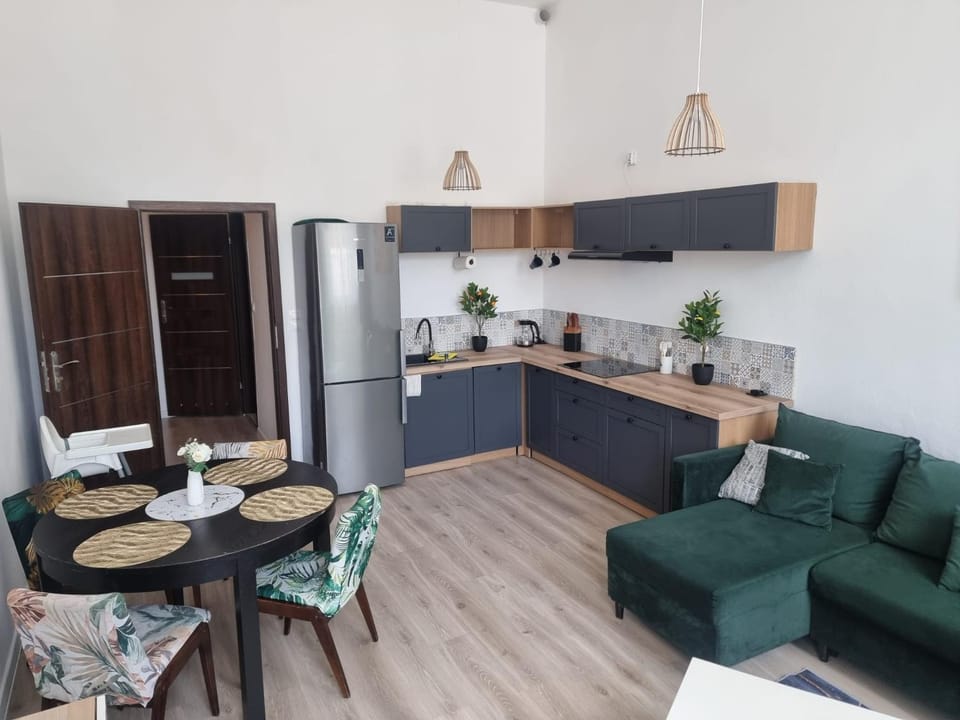 Kitchen or kitchenette, Living room, Seating area, Dining area, oven, stove