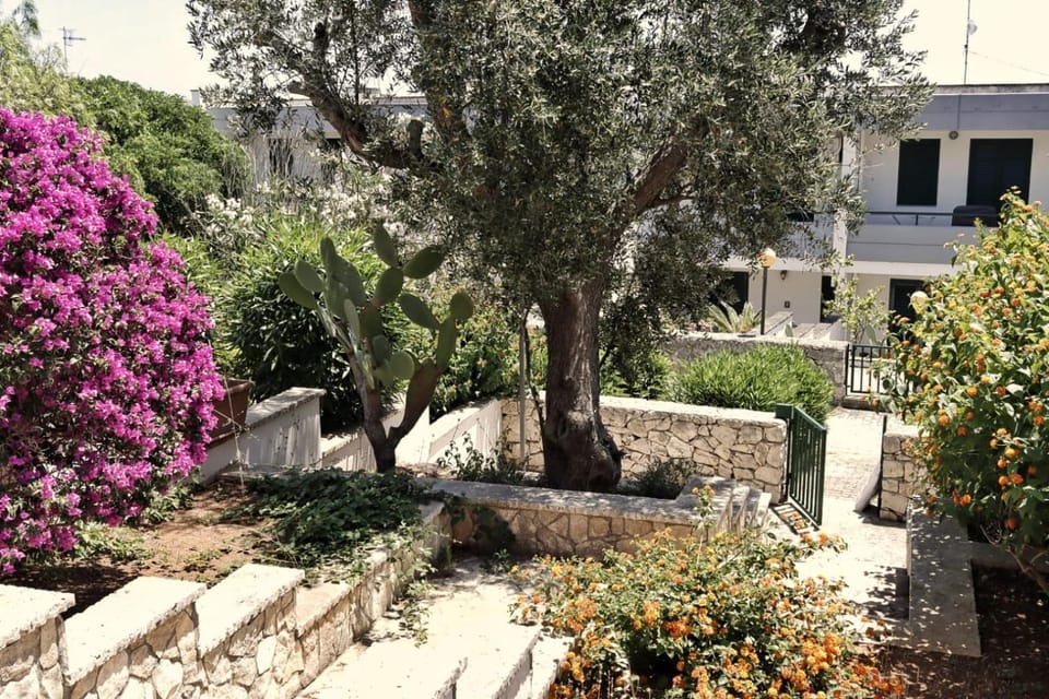 Property building, Garden view