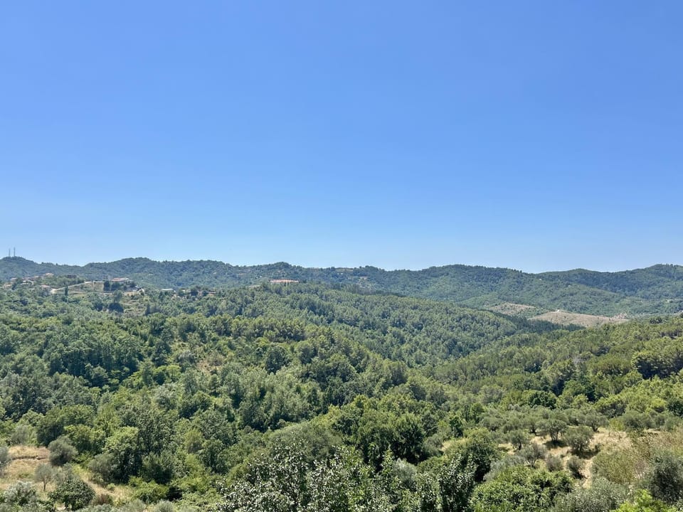 View (from property/room)