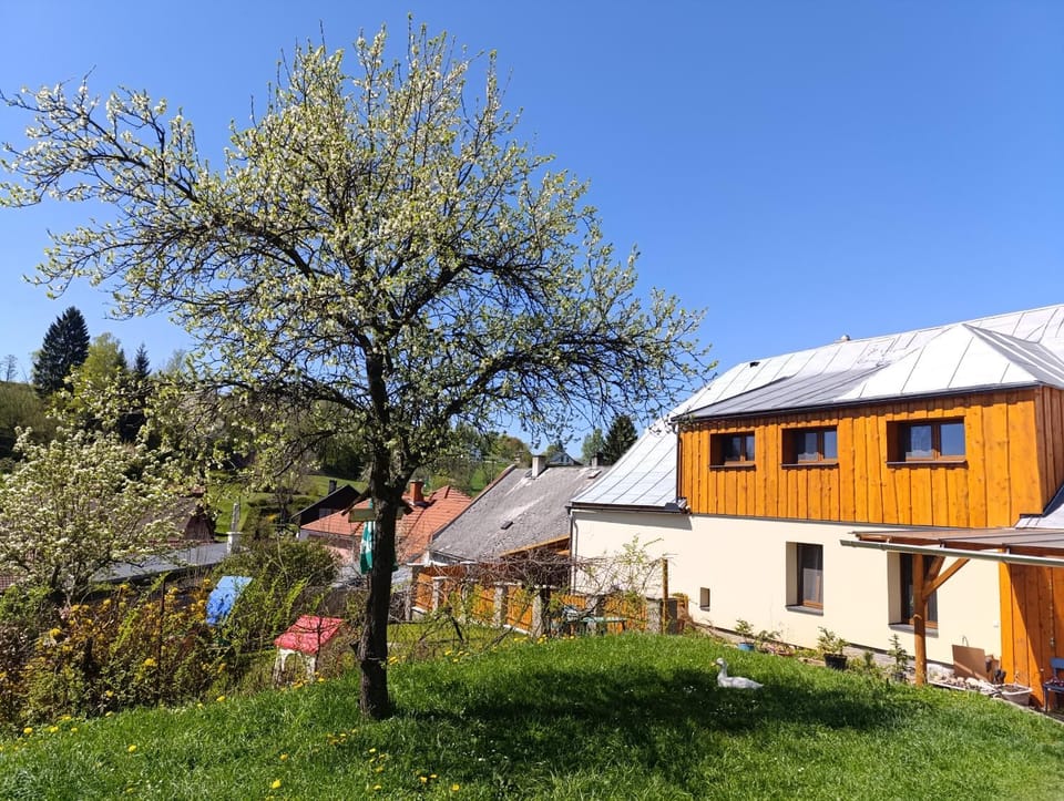Property building, Spring