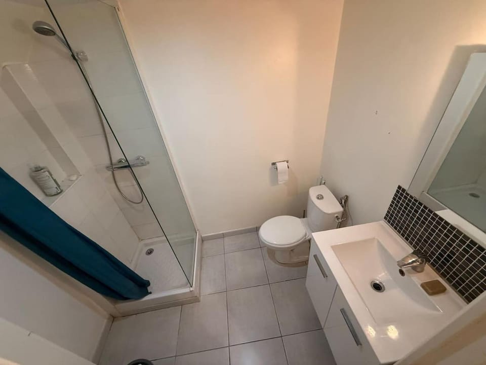Studio du Peyrou, Hypercentre Apartment in Montpellier