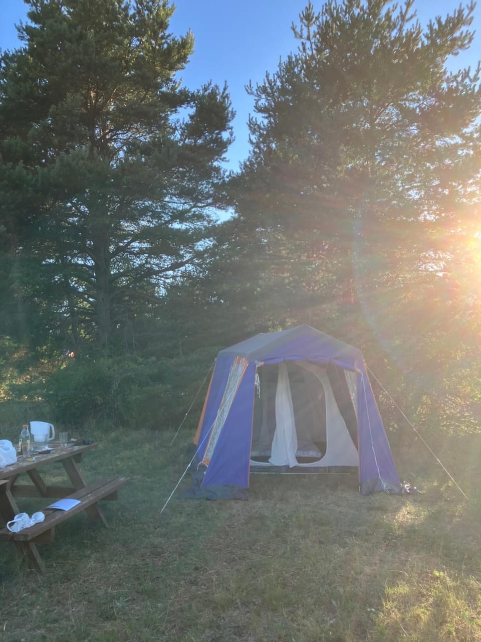 Espace Shunyata Verdon Silence Nature Campground/ 
RV Resort in Verdon Gorge