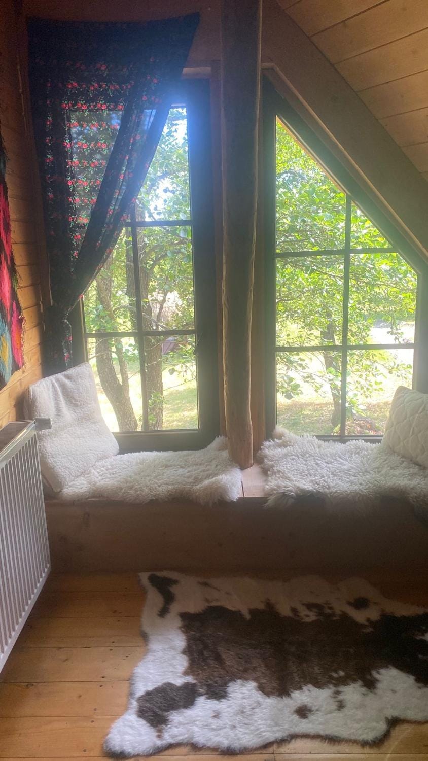 Poiana Creasta Cocoșului-Casa Floarea Soarelui Villa in Romania