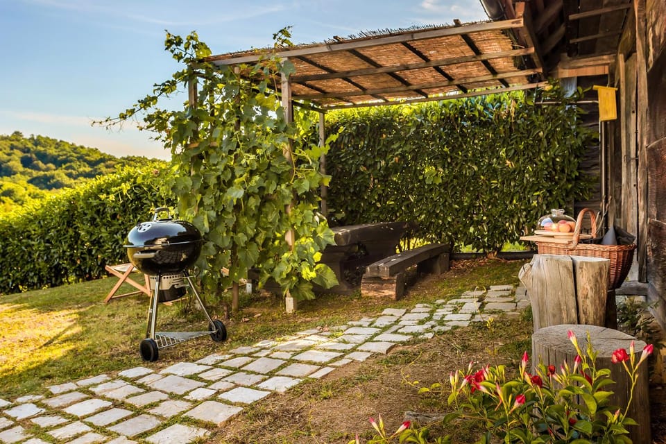 Patio, Day, Natural landscape, BBQ facilities