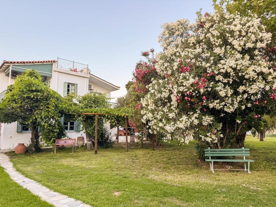 Natural landscape, Garden, Evening entertainment, Garden view