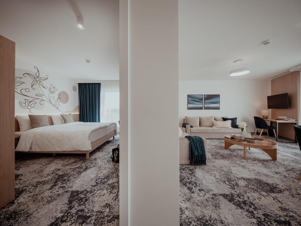 Bed, TV and multimedia, Living room, Photo of the whole room, Seating area, Evening entertainment, Bedroom