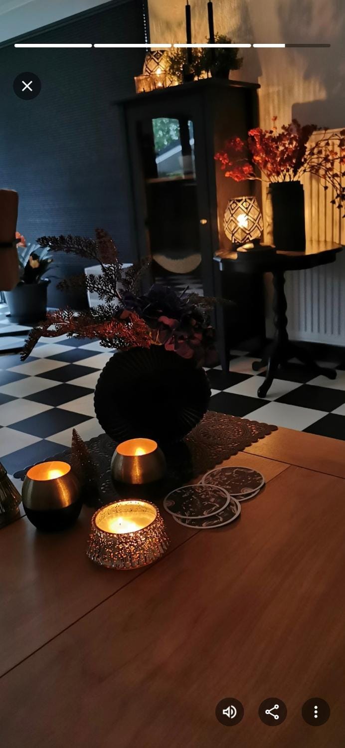 "BlackPearl" Groot Chalet Bospark Ijsselheide Hattemerbroek Veluwe Apartment in Overijssel (province)