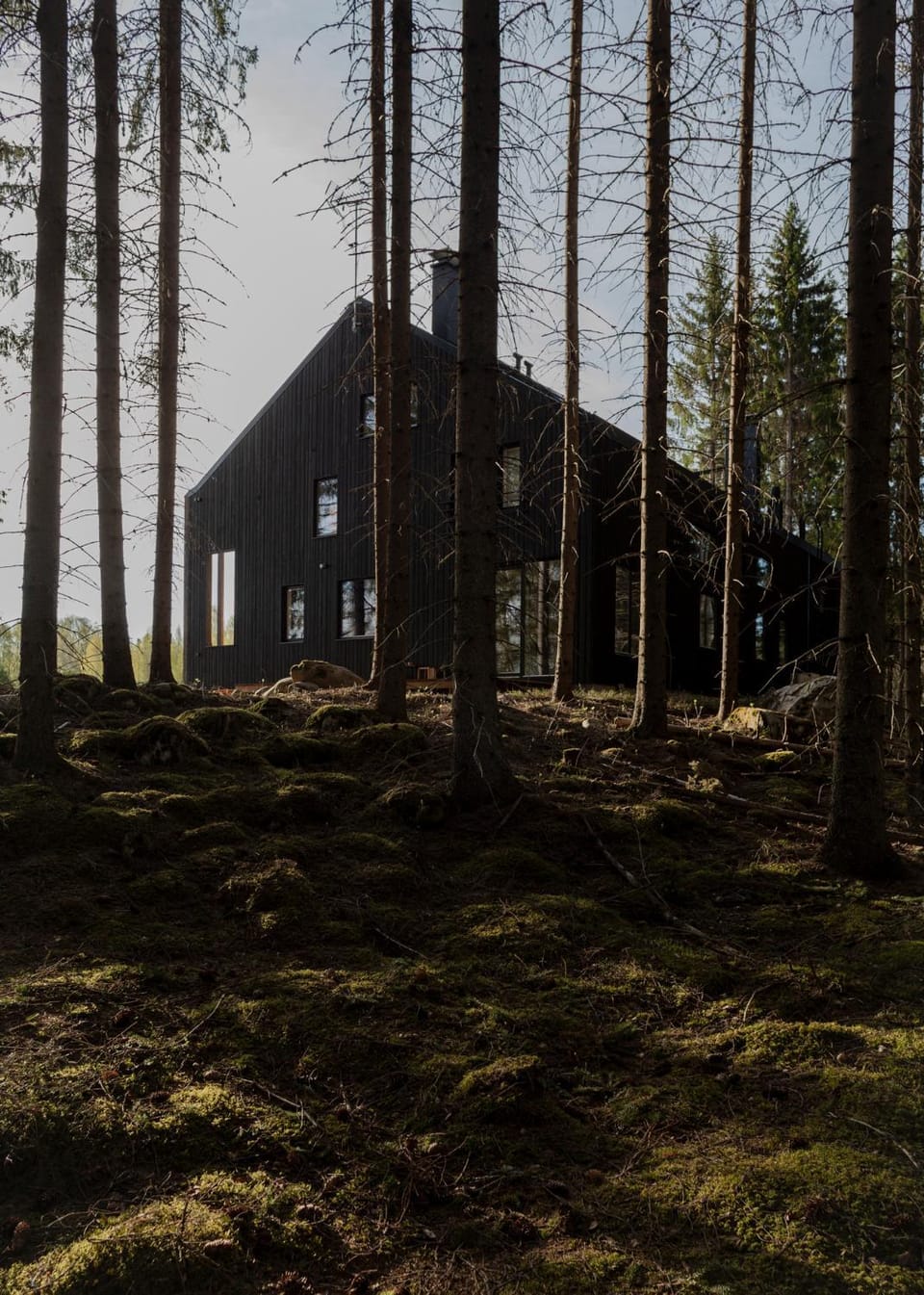 Property building, Spring, Day