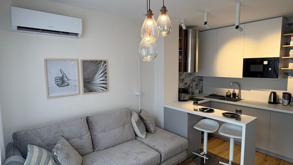 Kitchen or kitchenette, Living room, Seating area, Dining area, air conditioner