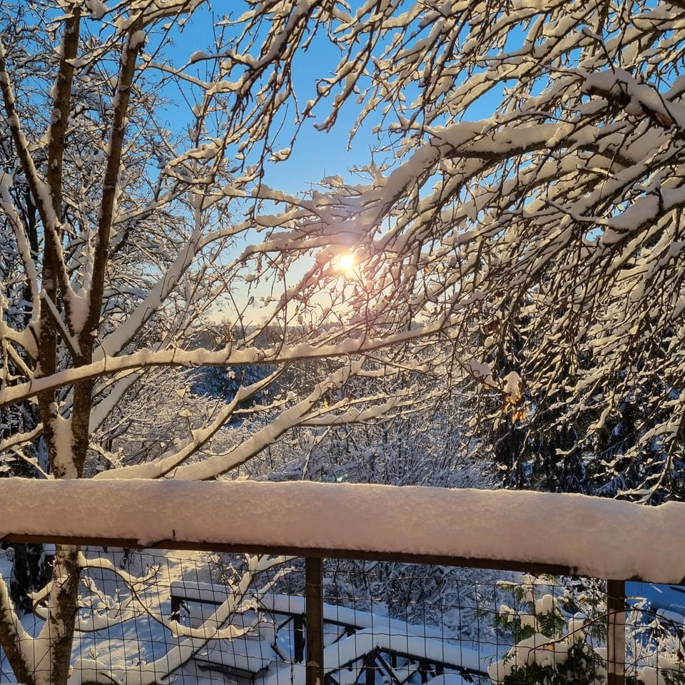 Day, Natural landscape, Winter