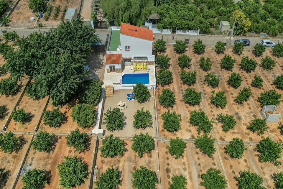 Natural landscape, Bird's eye view, Garden view, Pool view, Location