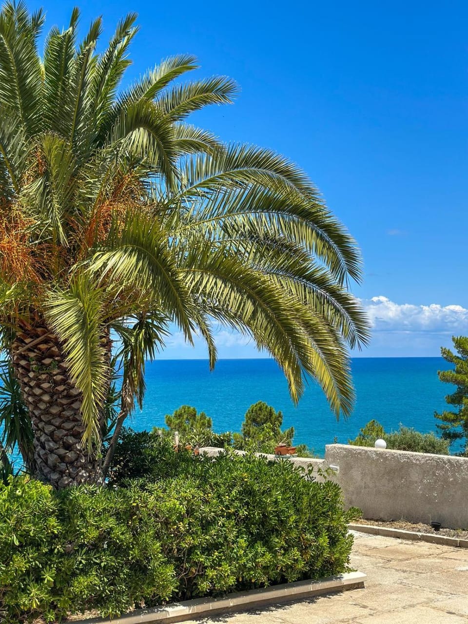 Natural landscape, Garden, Sea view
