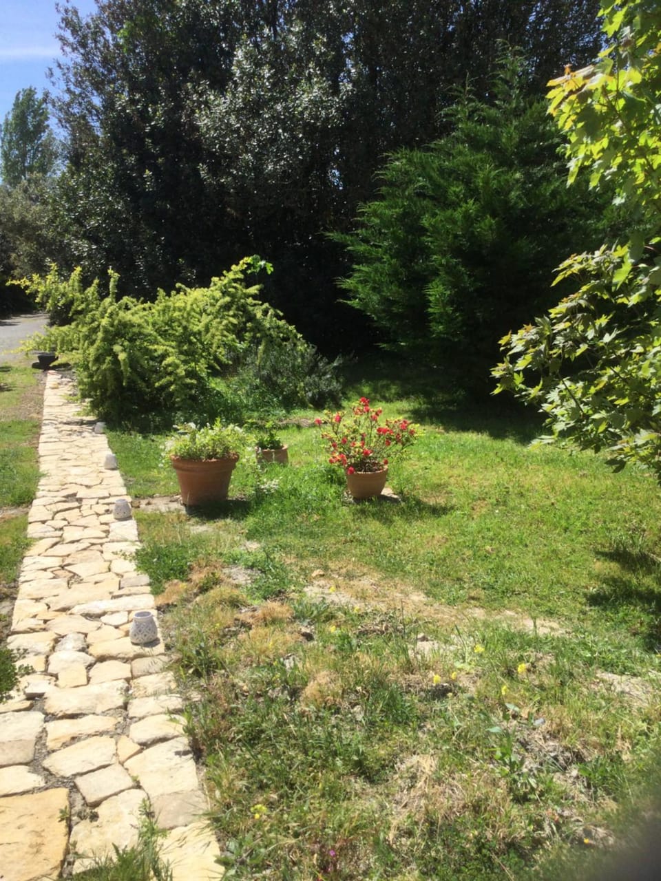 Spring, Garden, Garden view