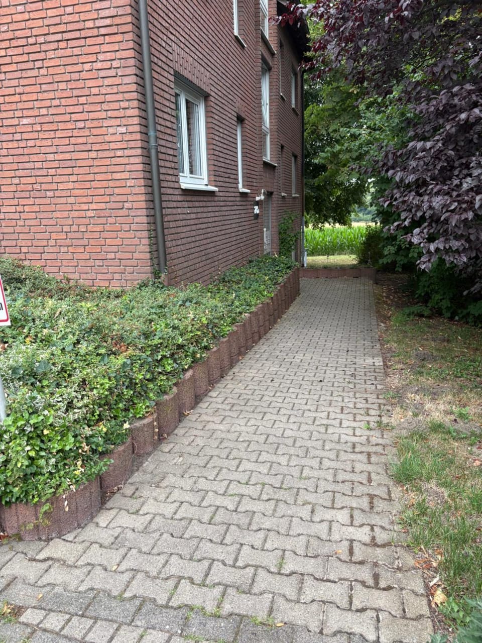 Garden view