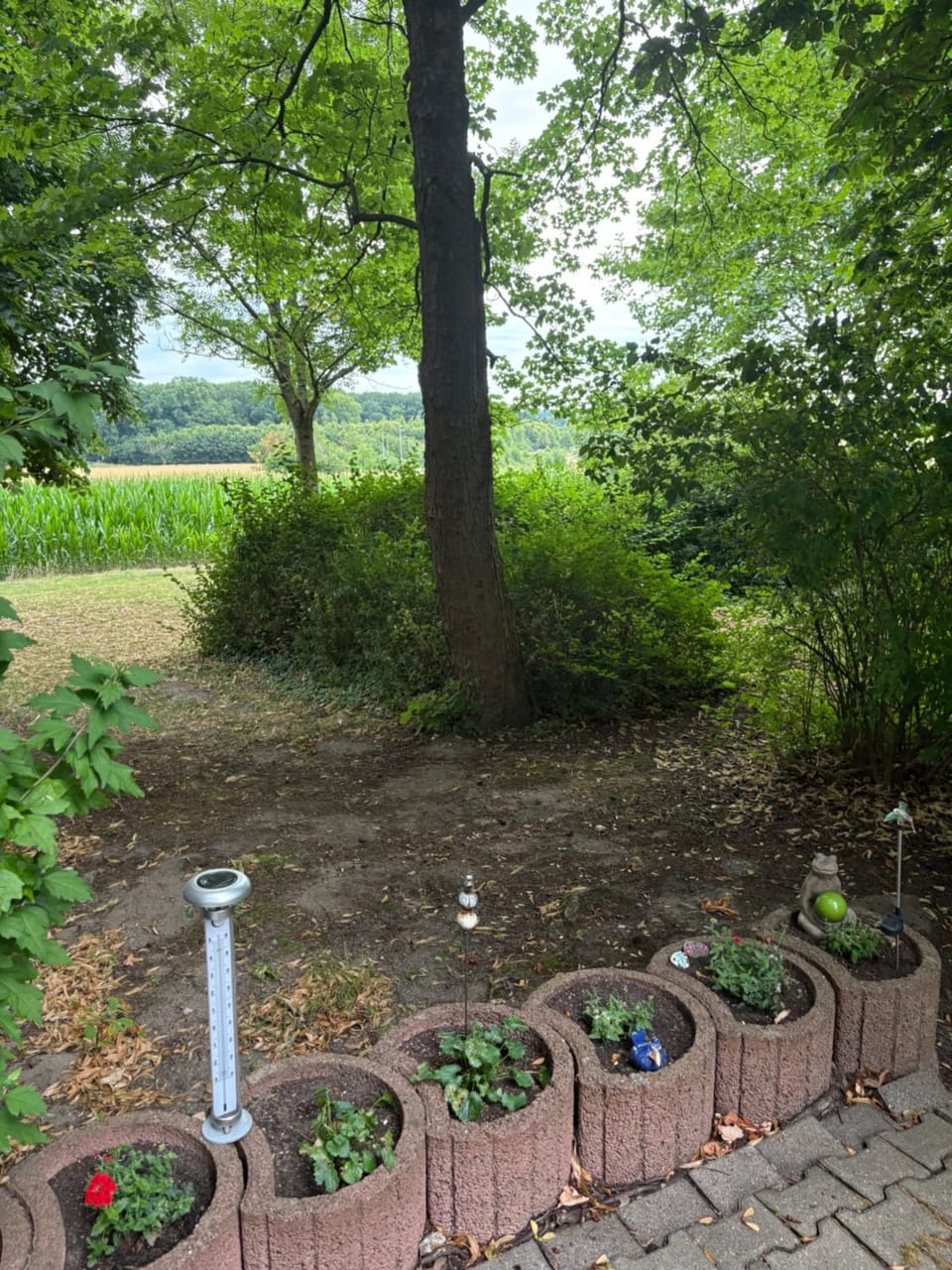 Natural landscape, Garden, Garden view