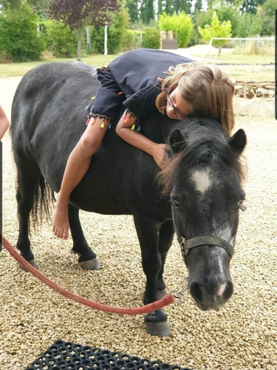 Les Gîtes de Borely House in Centre-Val de Loire