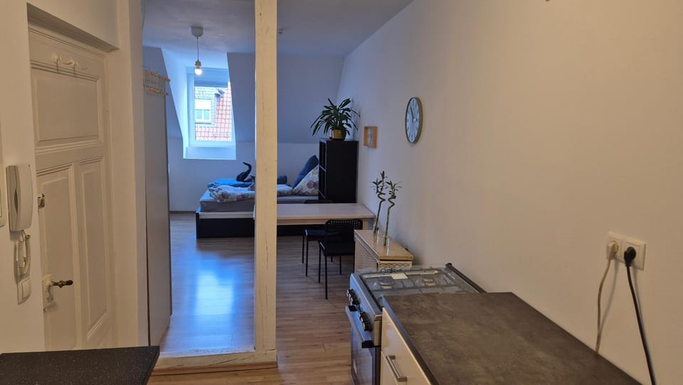 TV and multimedia, Kitchen or kitchenette, Photo of the whole room, Dining area, Bedroom