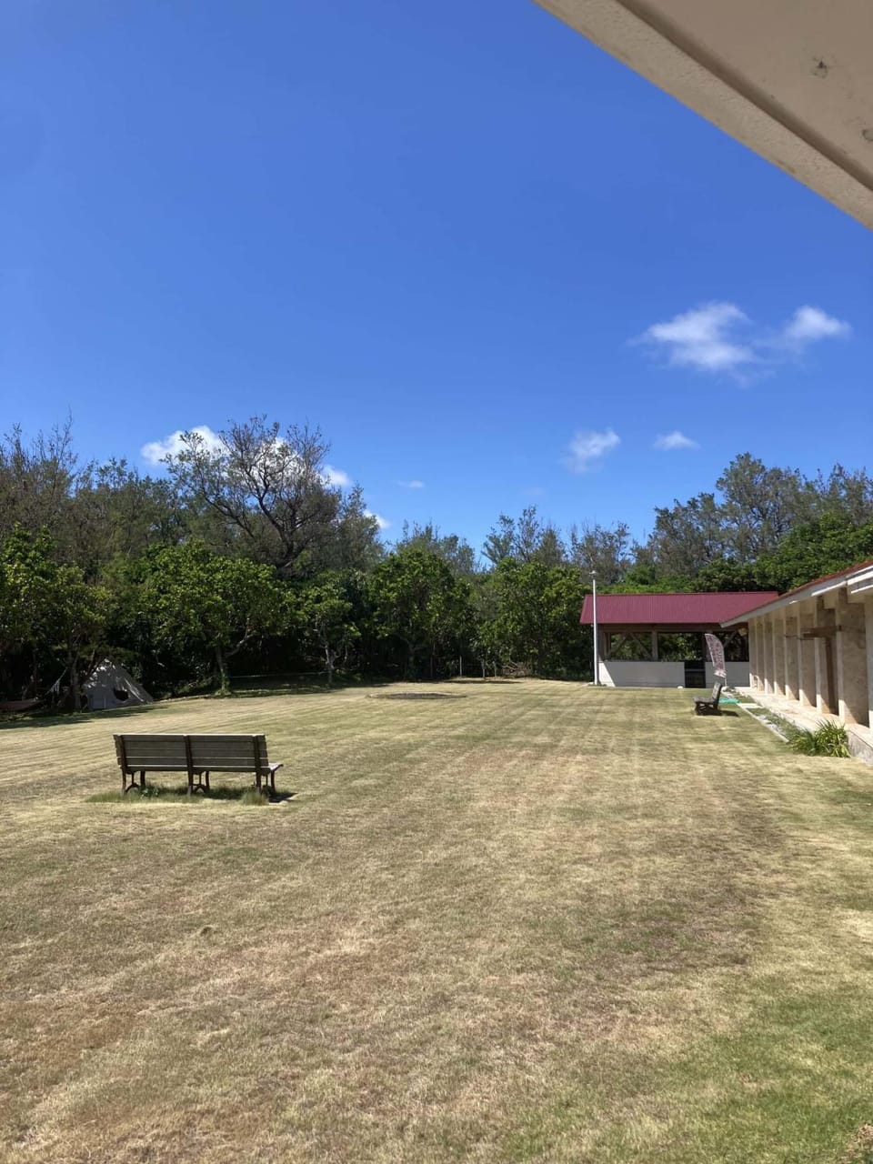 Garden view