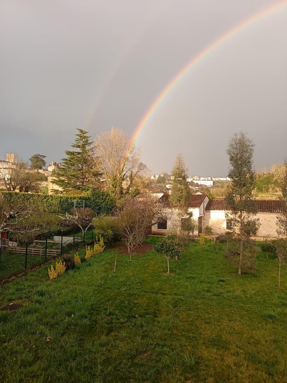 Garden view