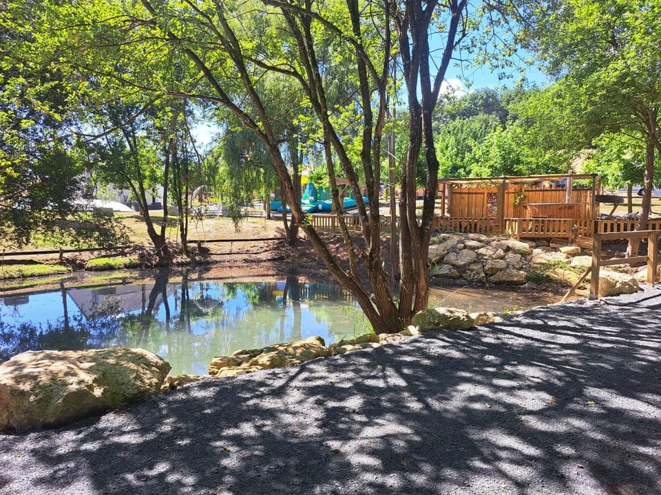 Natural landscape, Garden, Garden view, Lake view