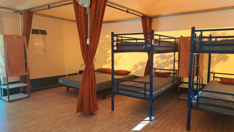 Bed, Photo of the whole room, Bedroom, bunk bed