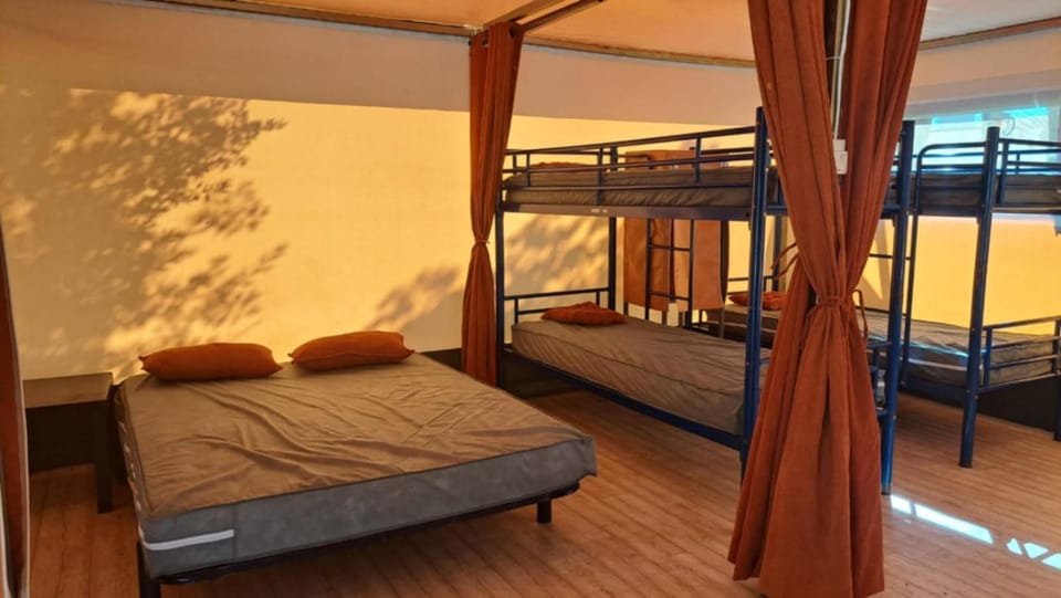 Bed, Photo of the whole room, Bedroom, bunk bed