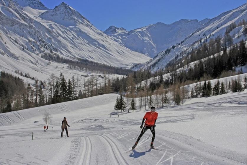 Natural landscape, Winter, Skiing, group of guests