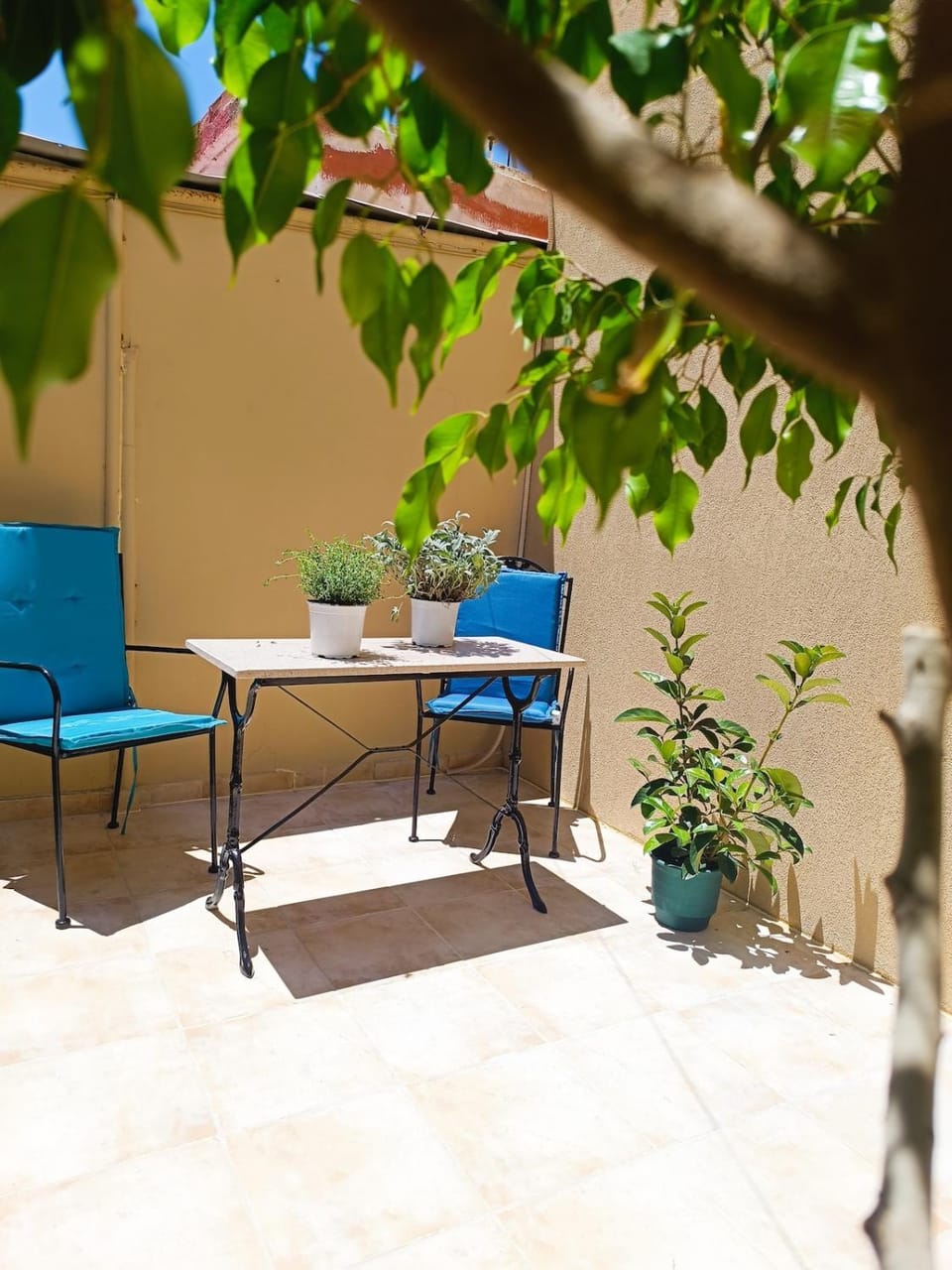 Balcony/Terrace